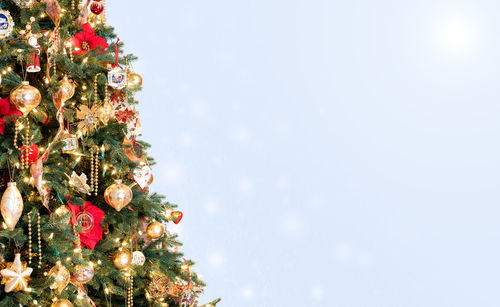 Close-up of christmas tree against colored background