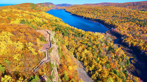 High angle view of trees on landscape