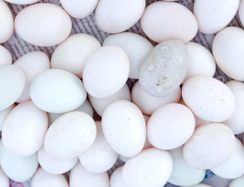 Full frame shot of white whole egg