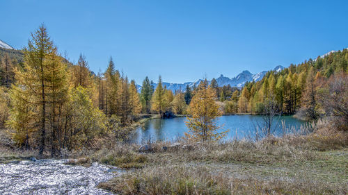 Scenic view of lake against clear blue sky