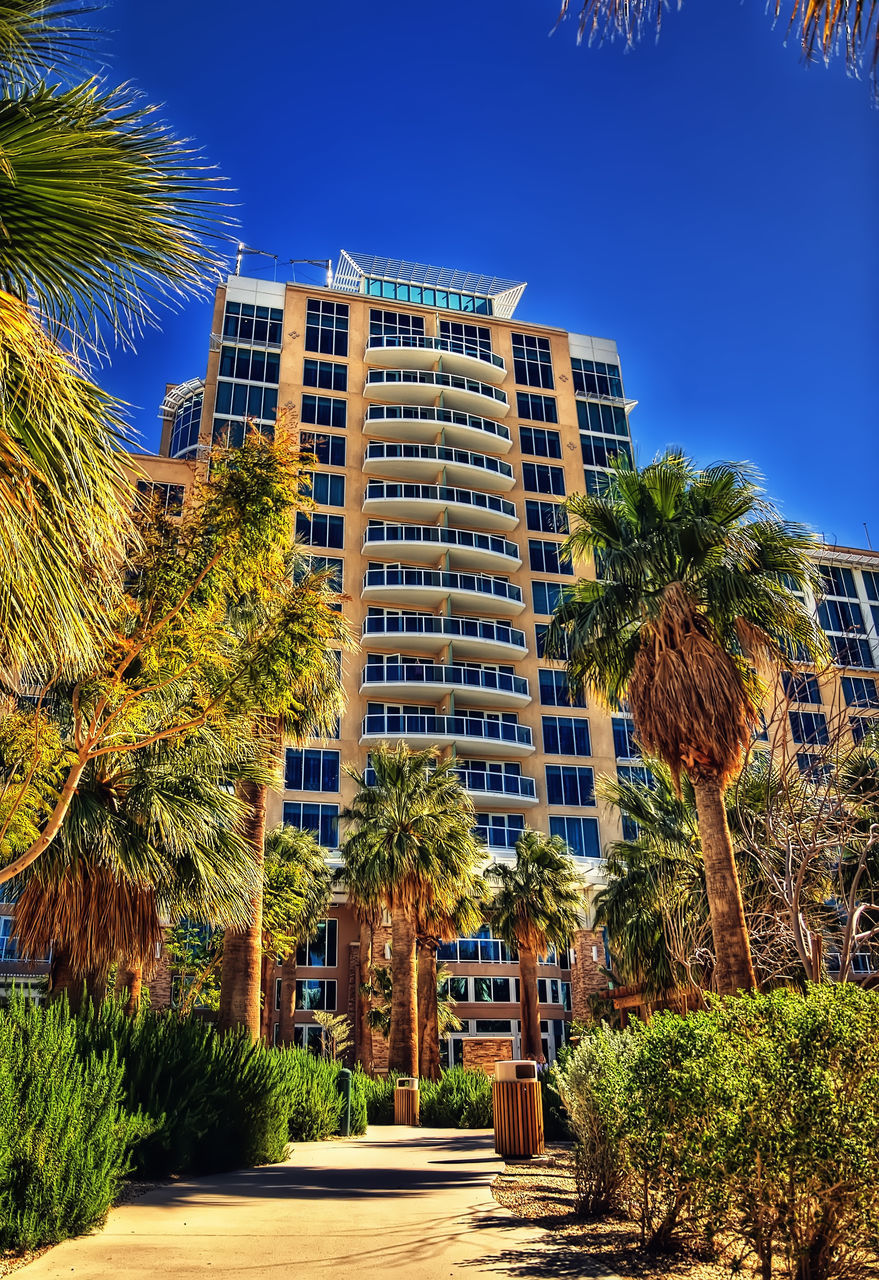 LOW ANGLE VIEW OF PALM TREES AND BUILDINGS AGAINST SKY