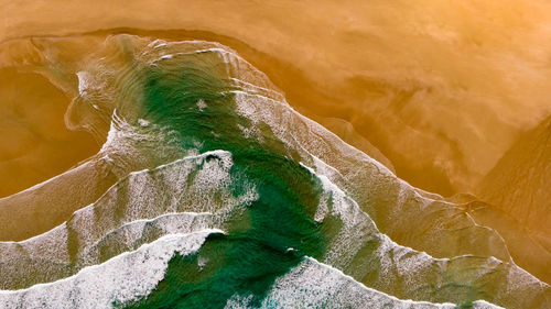 Close-up of a turtle in the sea
