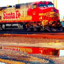 Shopping cart at market stall