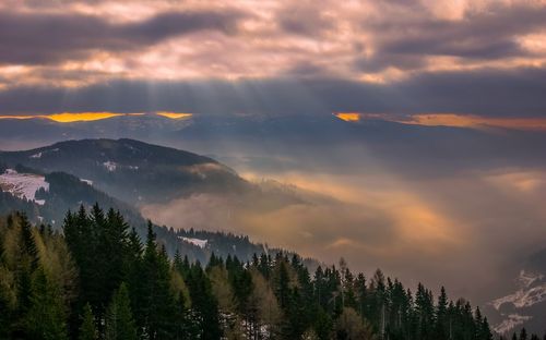 Panoramic view of trees on landscape against sky