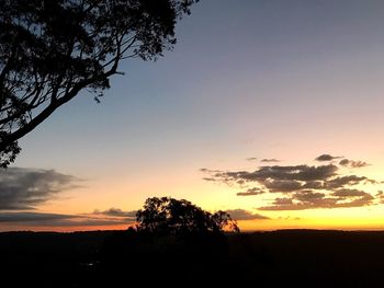 Silhouette trees against sky during sunset