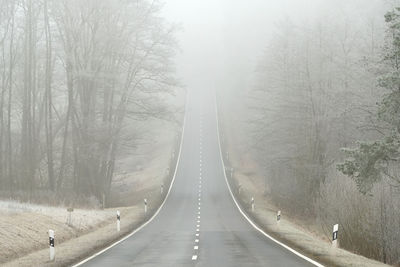 Panoramic view of road amidst trees during winter