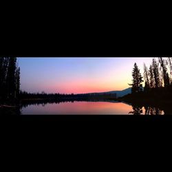 Scenic view of trees against sky during sunset