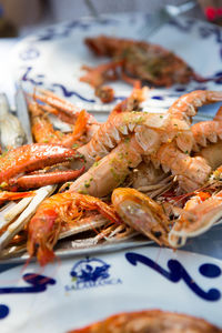 Close-up of prawns in plate