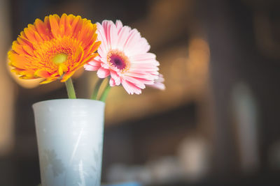 Close-up of pink flower in vase