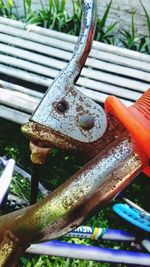 Close-up of snake on metal