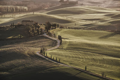 High angle view of agricultural field