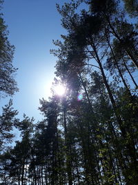 Low angle view of trees against sky