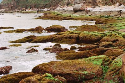 Rocks on sea shore