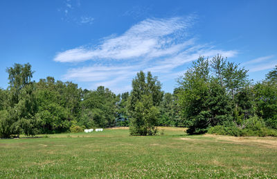 Trees on field against sky