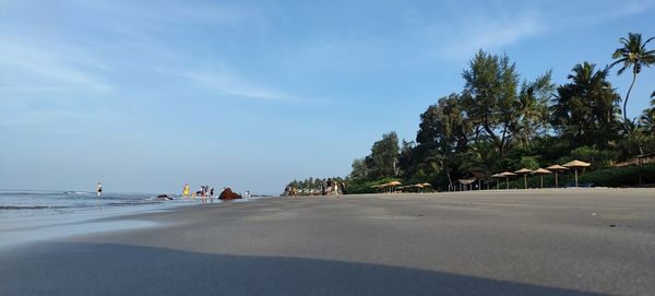 Trees by road against sky in city
