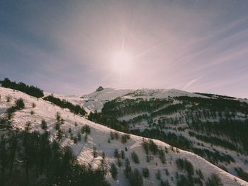 Scenic view of landscape against sky during winter