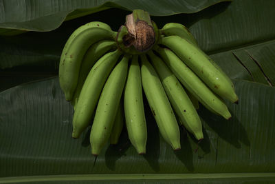 Close-up of bananas on green leaf 