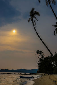 Silhouette palm trees on beach against sky during sunset