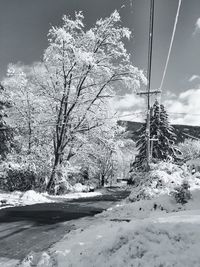 Snow covered landscape