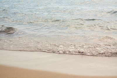 Scenic view of beach