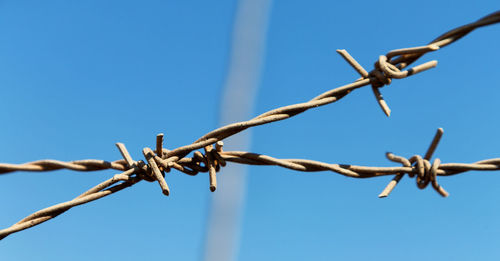 Low angle view of barbed wire against clear sky