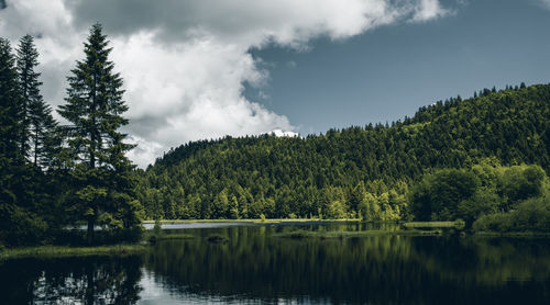 Scenic view of lake by trees against sky