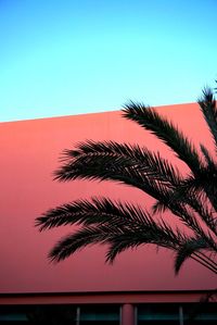 Low angle view of palm tree against clear sky