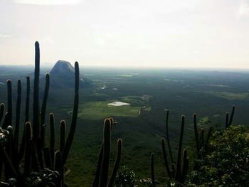 Scenic view of landscape