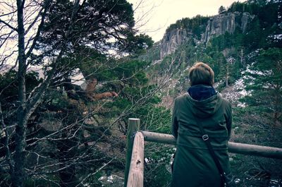 Rear view of woman in forest