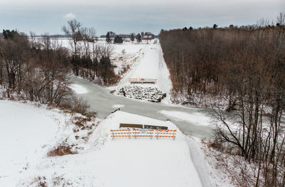 Snow covered plants by trees against sky