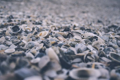 Close-up of stones on beach