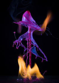 Close-up of fire against black background