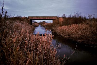 Bridge over lake against sky