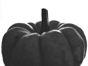 Close-up of object over white background