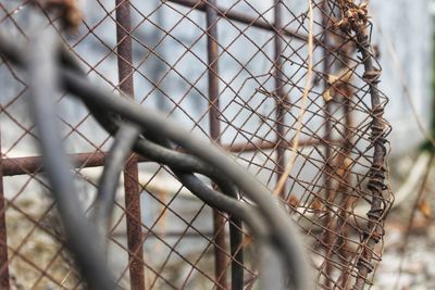 Close-up of chainlink fence