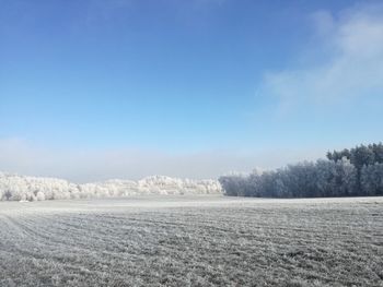 Scenic view of landscape against blue sky