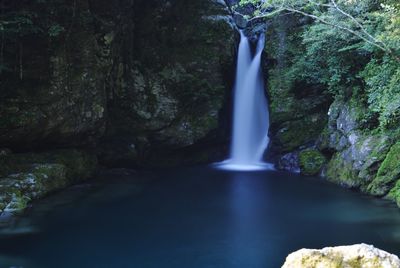 Scenic view of waterfall in forest