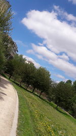 Road by trees against sky