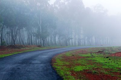 Road amidst trees in foggy weather