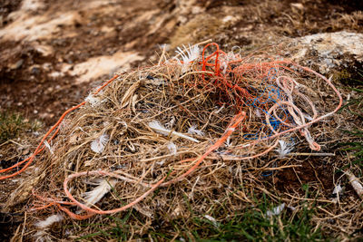 Close-up of fishing net