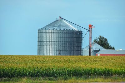 Scenic view of agricultural field against clear sky