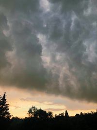 Low angle view of silhouette trees against dramatic sky