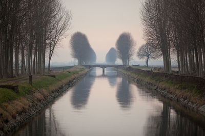 River amidst trees against sky