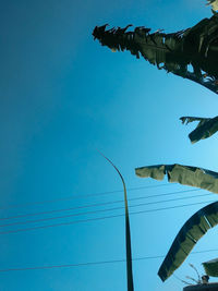 Low angle view of shoes hanging against clear blue sky