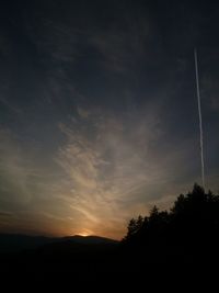 Silhouette of trees at sunset