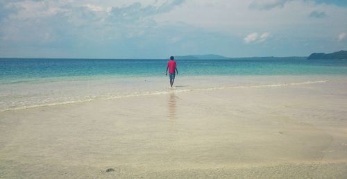 Rear view of man at beach against sky