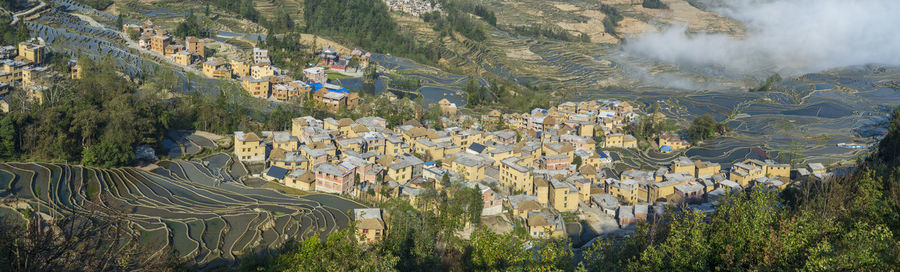 High angle view of trees on landscape