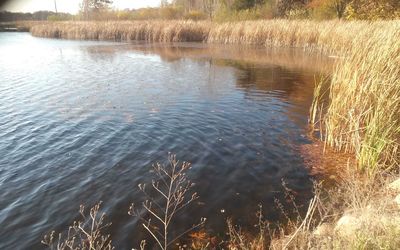 Scenic view of lake