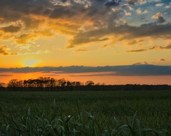 Scenic view of field against sky during sunset