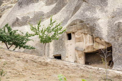 Close-up of old abandoned building